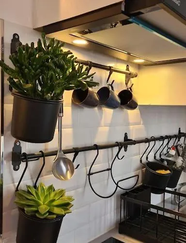 Beau A 30m De La / Beautiful 30m From The Trouville-sur-Mer